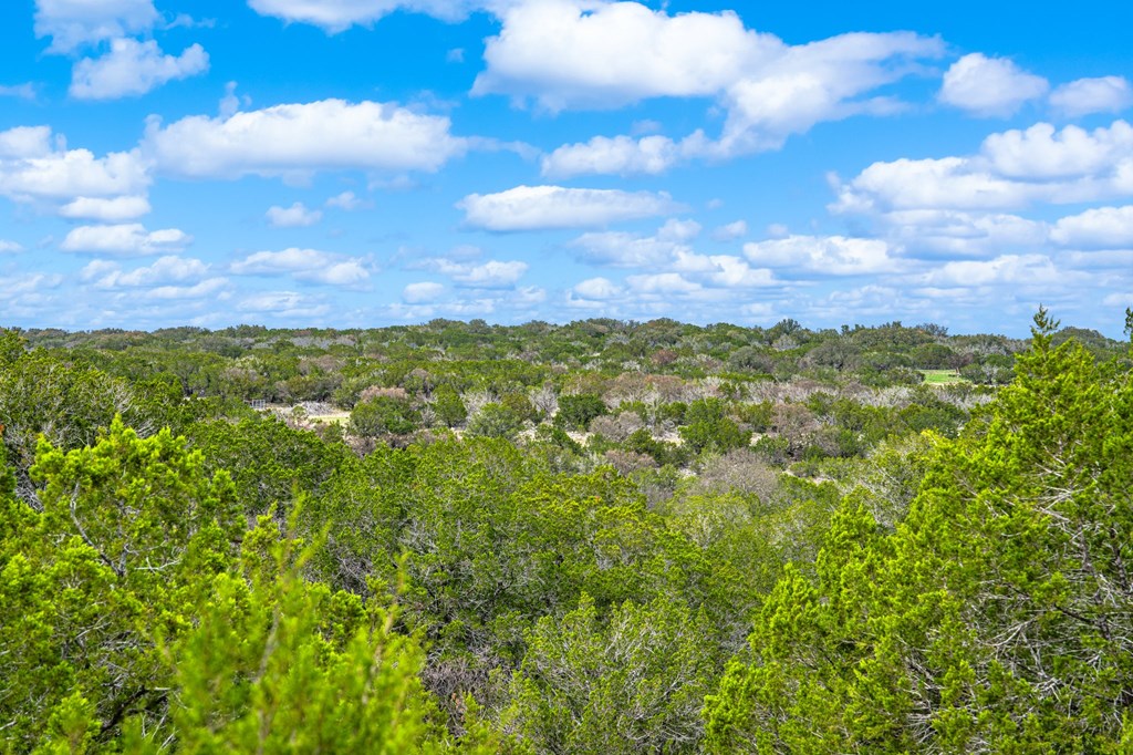 331 Kc 2751 Junction, TX 76849 - Photo 16 of 59