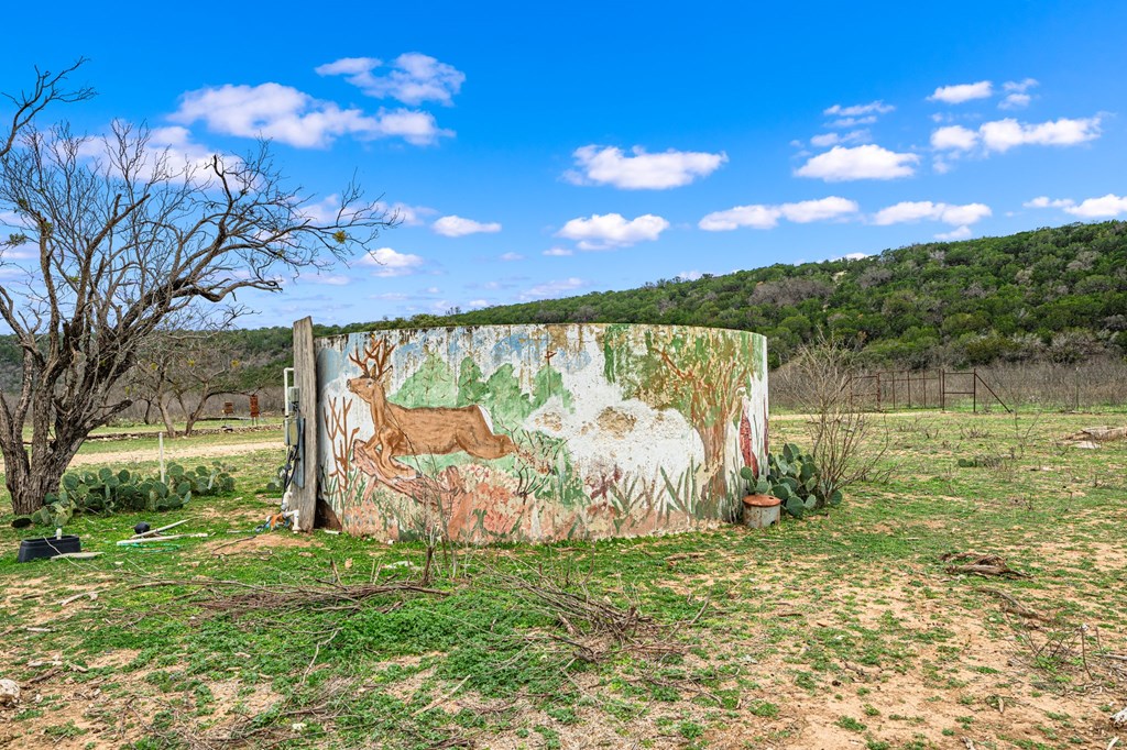 331 Kc 2751 Junction, TX 76849 - Photo 57 of 59