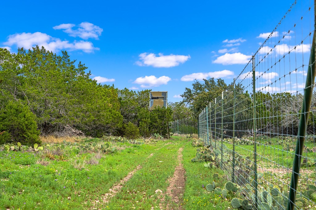 331 Kc 2751 Junction, TX 76849 - Photo 9 of 59