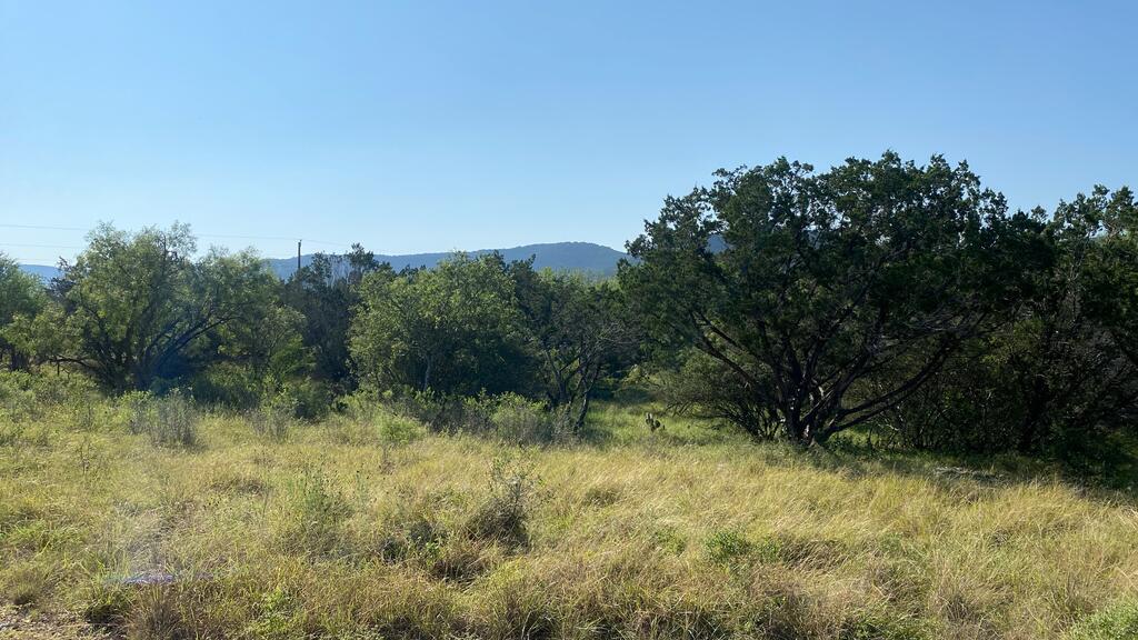 523 Kahn Drive Rio Frio, TX 78879 - Photo 11 of 39 Gallery Image 11