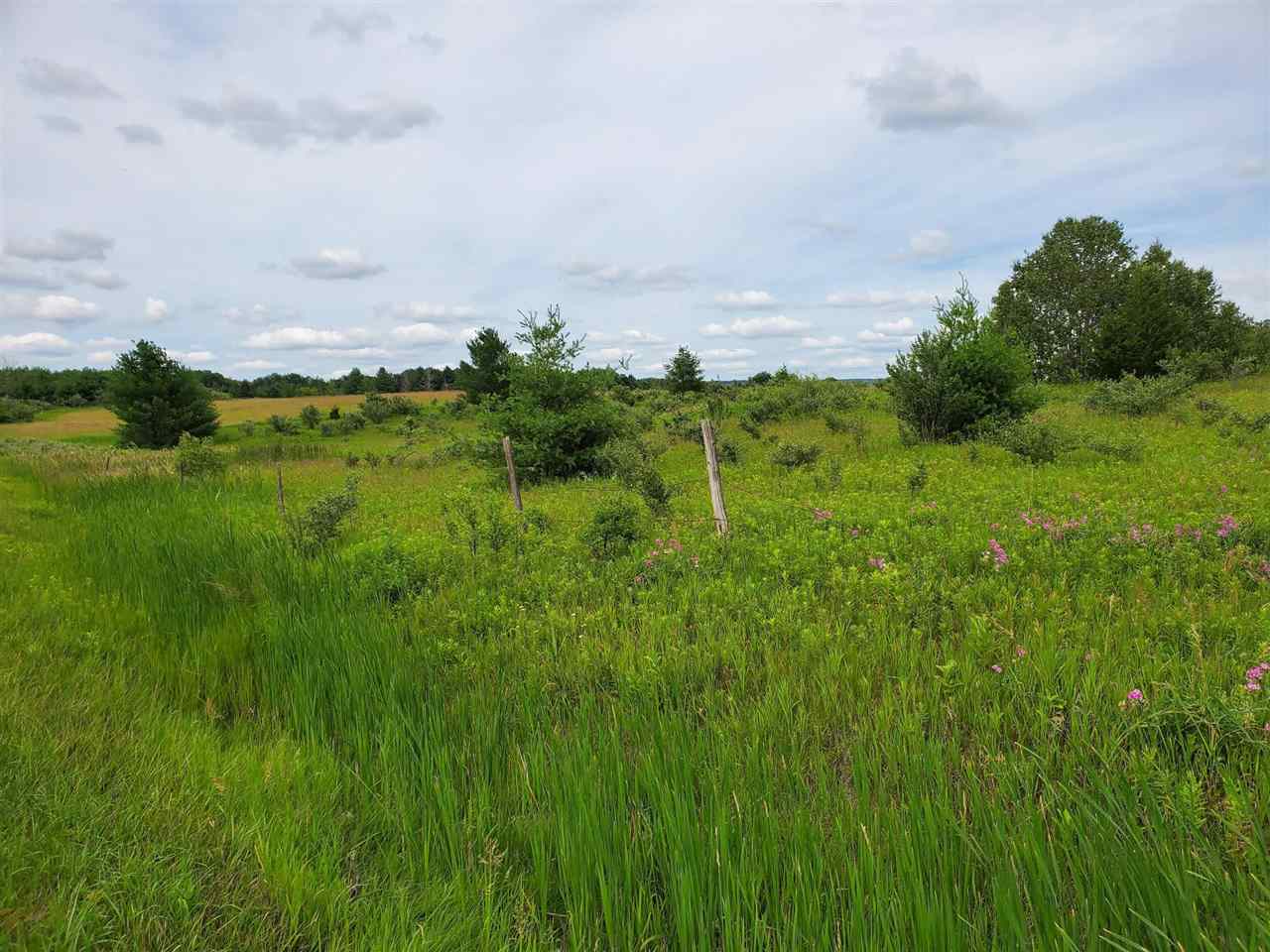 3.38 Fairview Road West Branch, MI 48661 - Photo 4 of 10