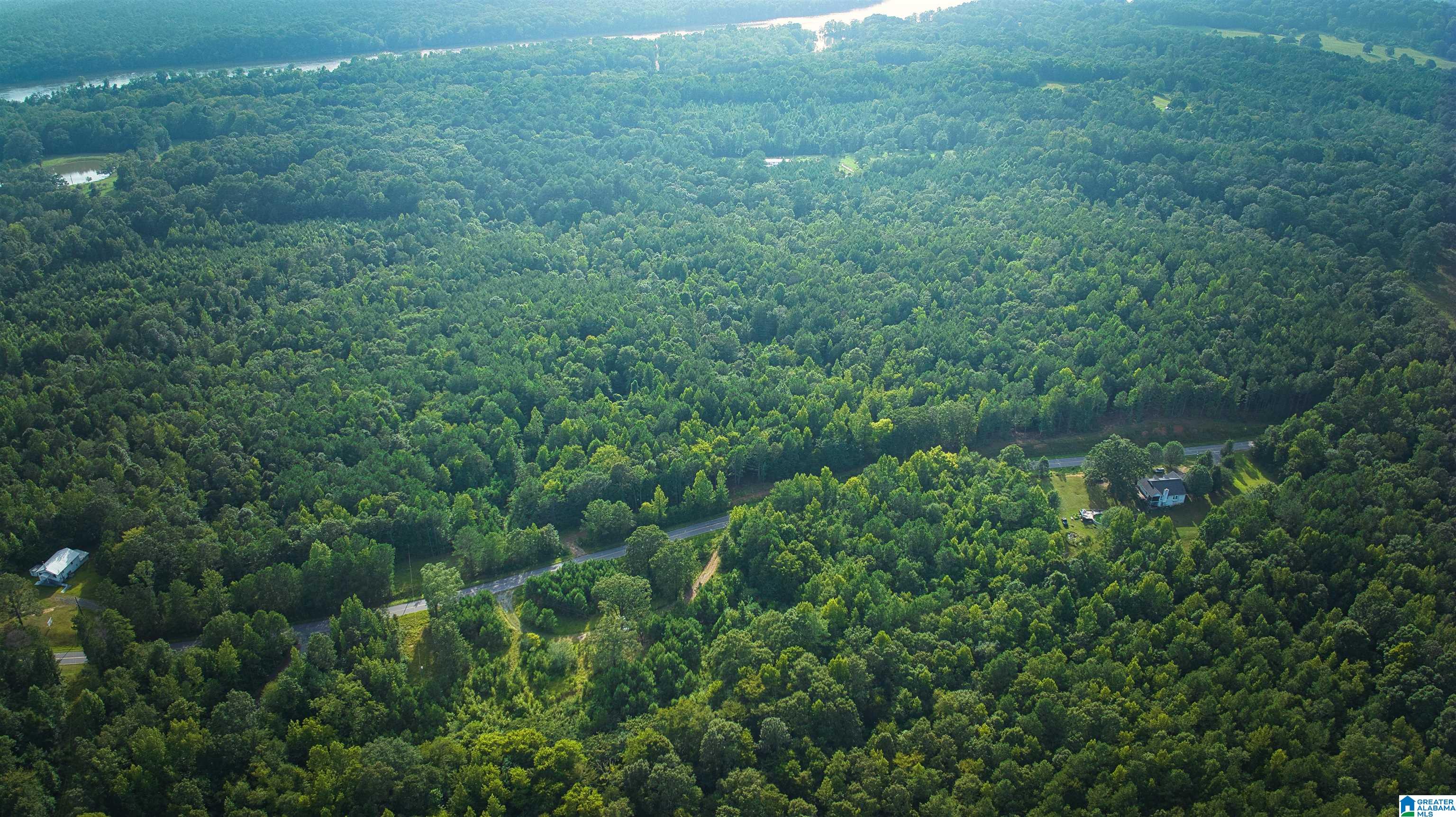 Lot 20 Wester Road, Unit LOT 20 Ragland, AL 35131 - Photo 47 of 68