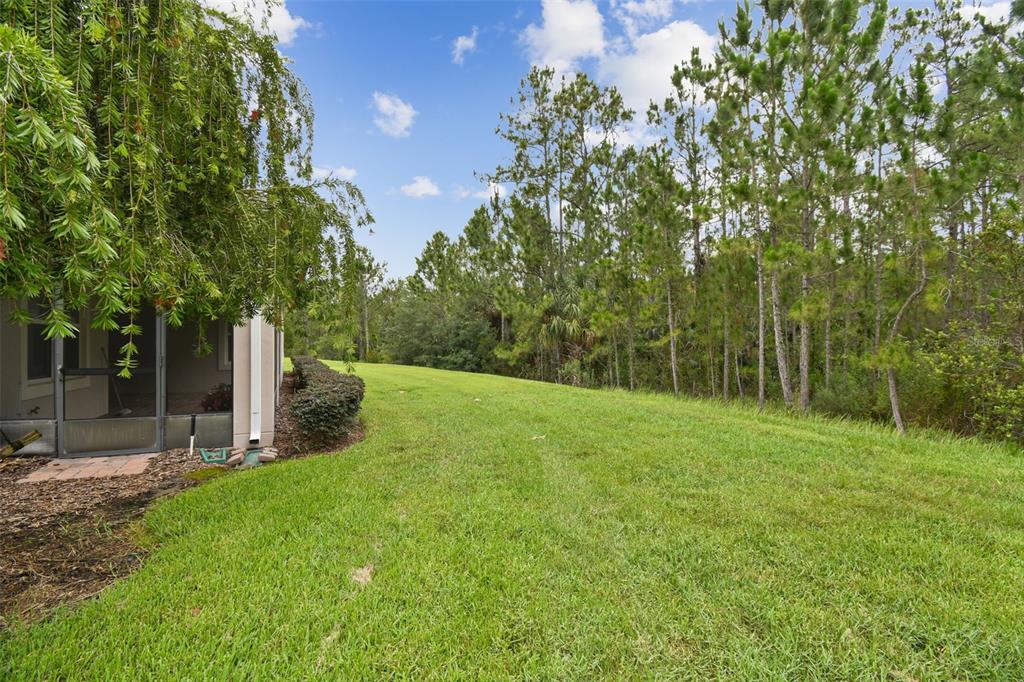 726 Irvine Ranch Road Kissimmee, FL 34759 - Photo 32 of 52