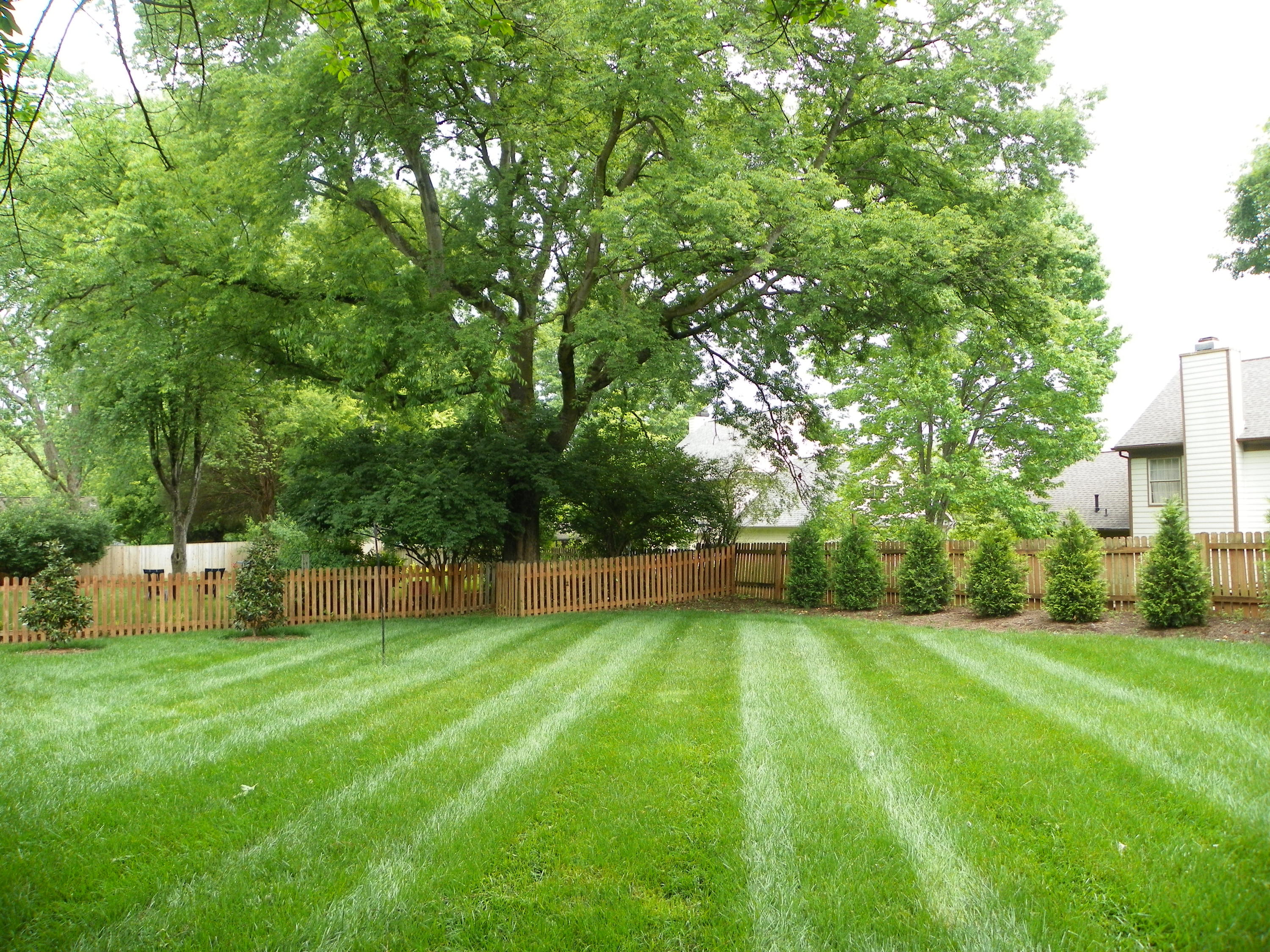 1220 Wenlock Road Knoxville, TN 37922 - Photo 4 of 27 100_0327