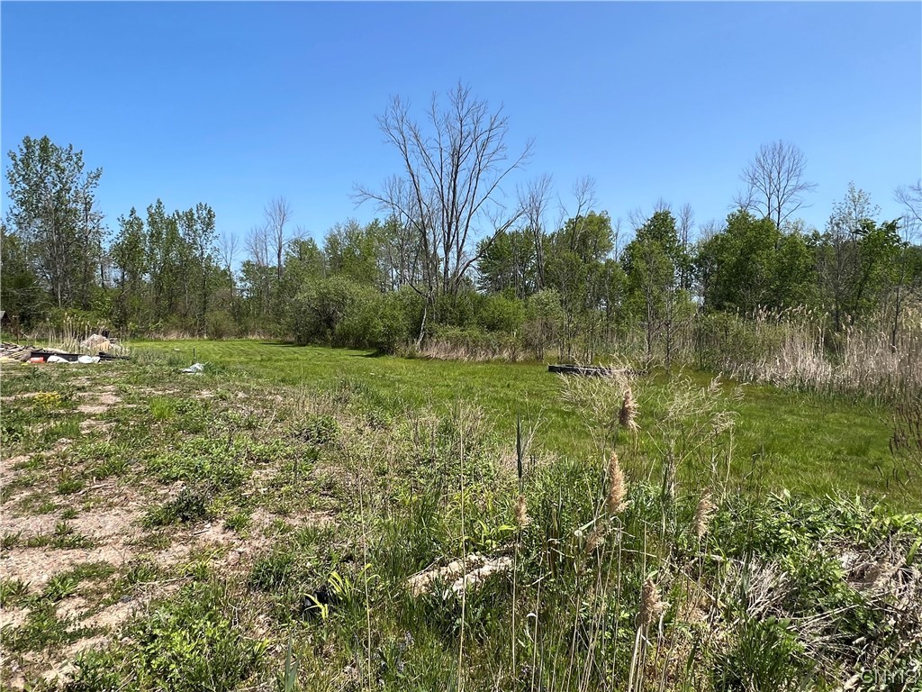 8894 Caughdenoy Road Clay, NY 13029 - Photo 5 of 6