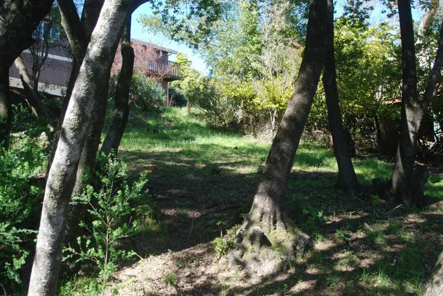 a view of a house with a yard and potted plants