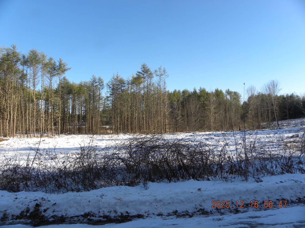 Lot B Bernier Road Sanford, ME 04073 - Photo 17 of 20 DSCN9445