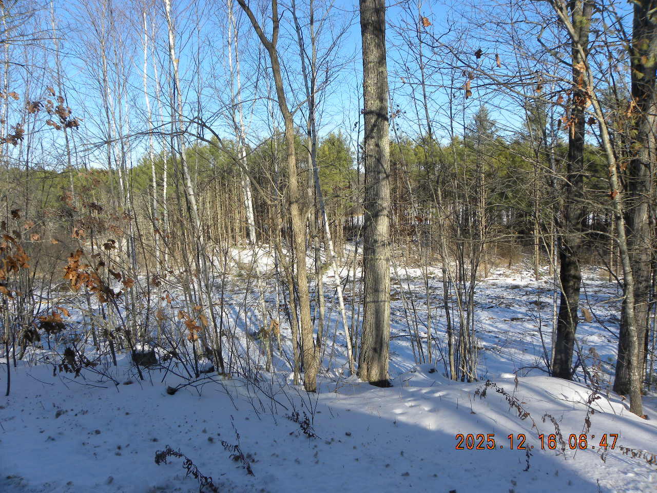 Lot B Bernier Road Sanford, ME 04073 - Photo 19 of 20 DSCN9447