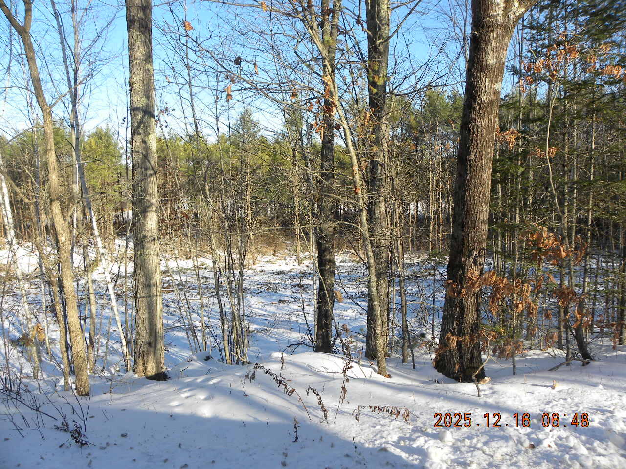 Lot B Bernier Road Sanford, ME 04073 - Photo 20 of 20 DSCN9448