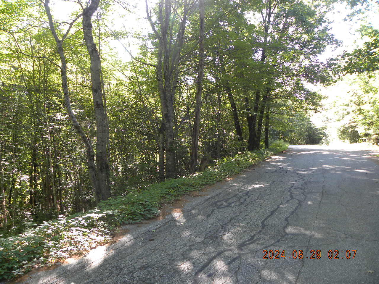 Lot B Bernier Road Sanford, ME 04073 - Photo 5 of 20 DSCN9244