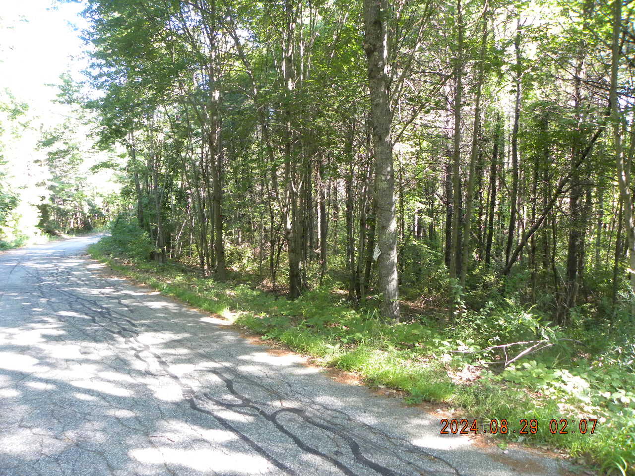 Lot B Bernier Road Sanford, ME 04073 - Photo 6 of 20 DSCN9245