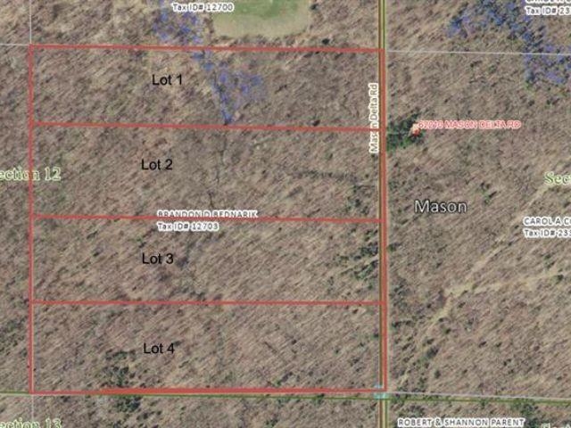 Lot 1 Mason Delta Road Mason, WI 54856 - Photo 1 of 1 Aerial map of property and surrounding area with property parcel outlined