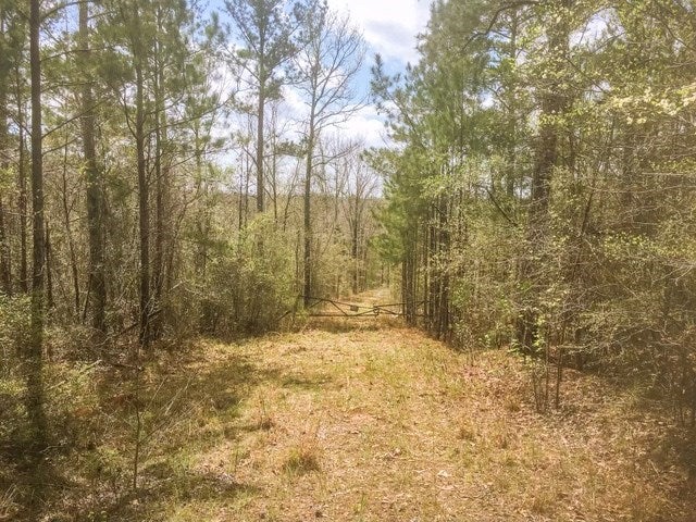 Lot 5 Burtom Road Eatonton, GA 31024 - Photo 11 of 15 Gallery Image 11