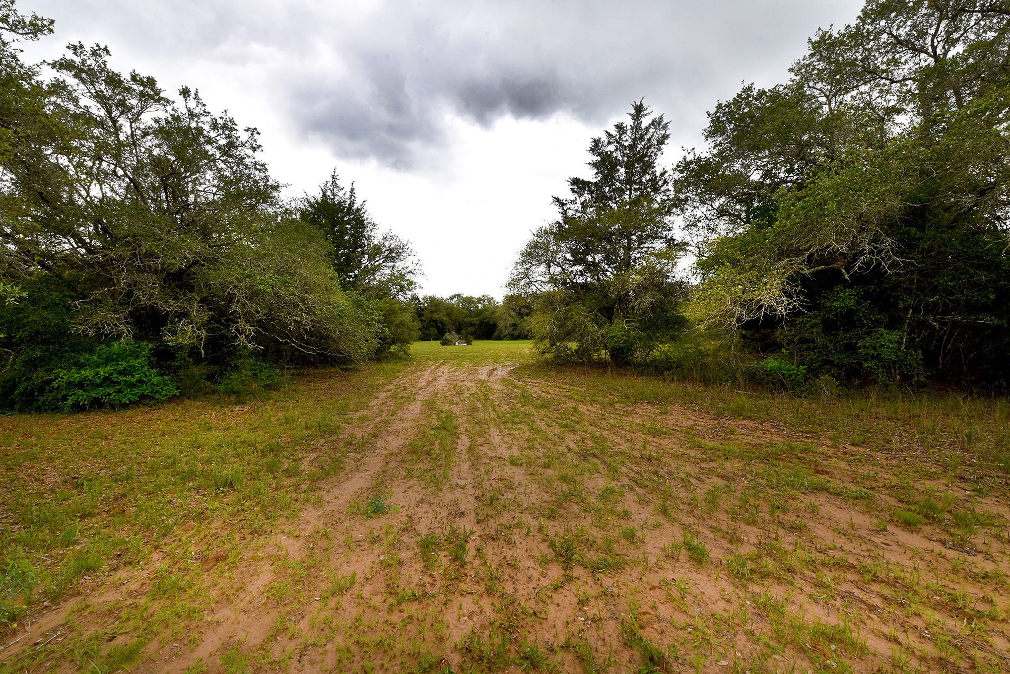 10 East Frontage Road Weimar, TX 78962 - Photo 20 of 30 a view of yard with swimming pool and green space