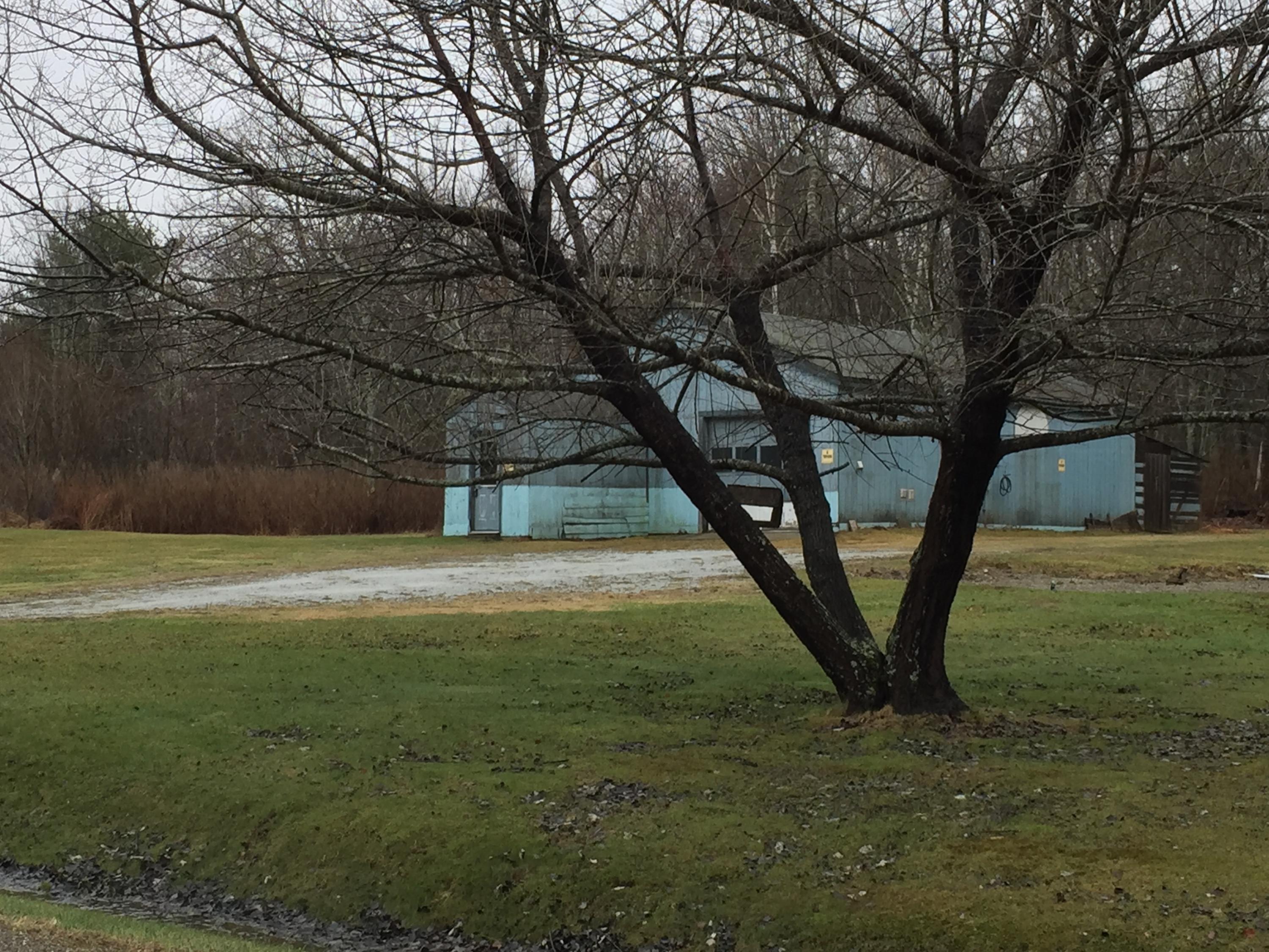 19 Baker Road Belfast, ME 04915 - Photo 2 of 11 bakergrass6