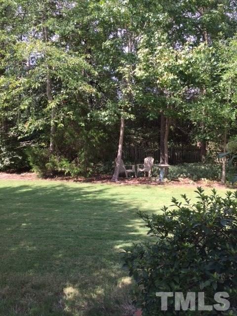 5425 Neuse Forest Road Raleigh, NC 27616 - Photo 21 of 25 a view of outdoor space with trees all around