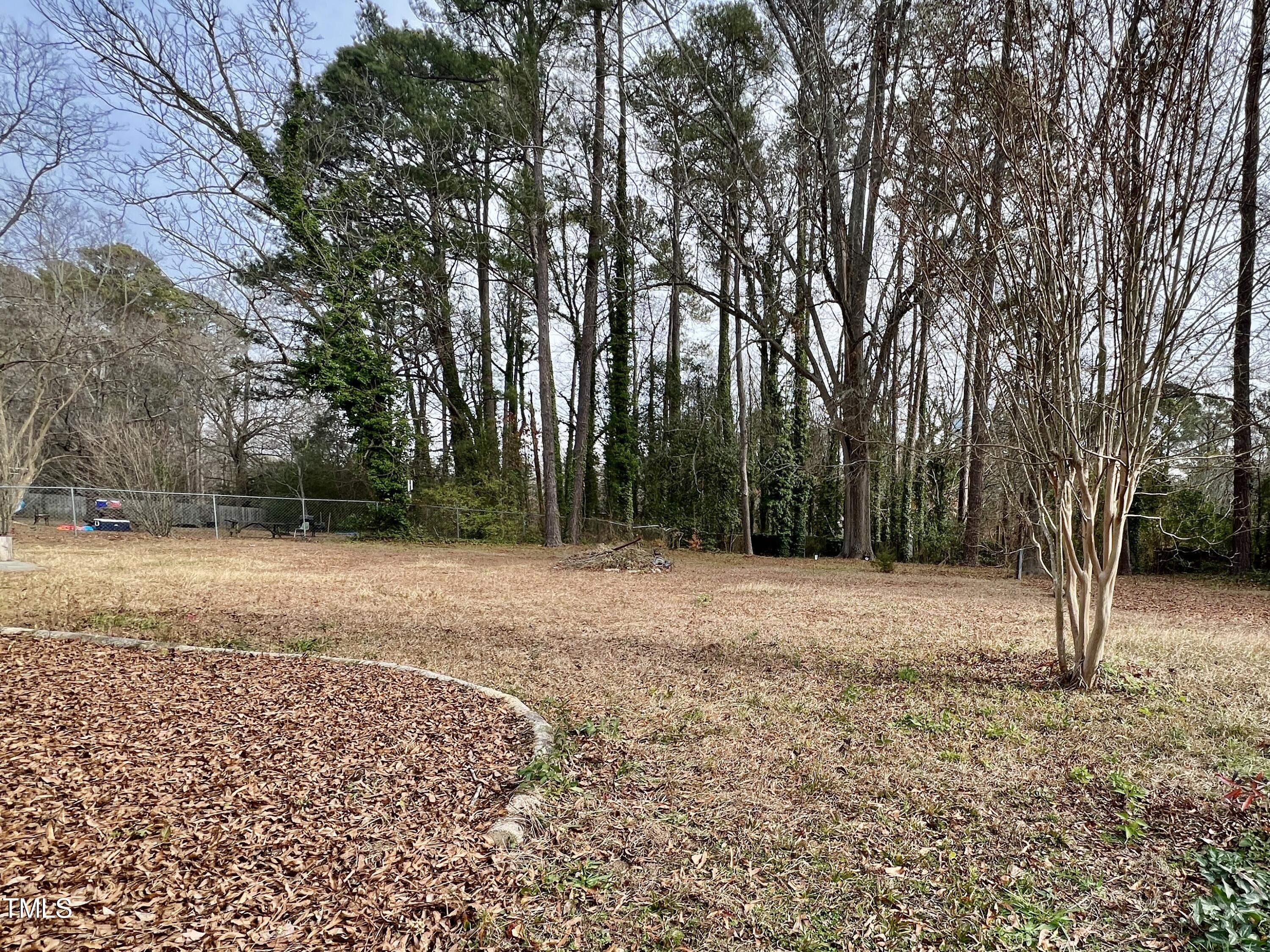 717 St George Road Raleigh, NC 27610 - Photo 23 of 32 a backyard of a house with lots of green space