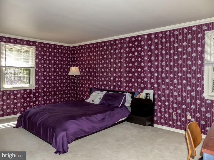 250 Batleson Road Ambler, PA 19002 - Photo 18 of 25 Gallery Image 18
