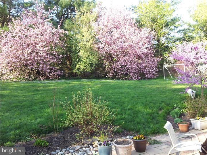 250 Batleson Road Ambler, PA 19002 - Photo 25 of 25 Gallery Image 25
