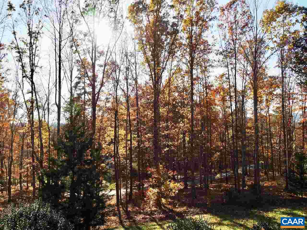 4346 Sharon Road Esmont, VA 22937 - Photo 17 of 17 a view of forest