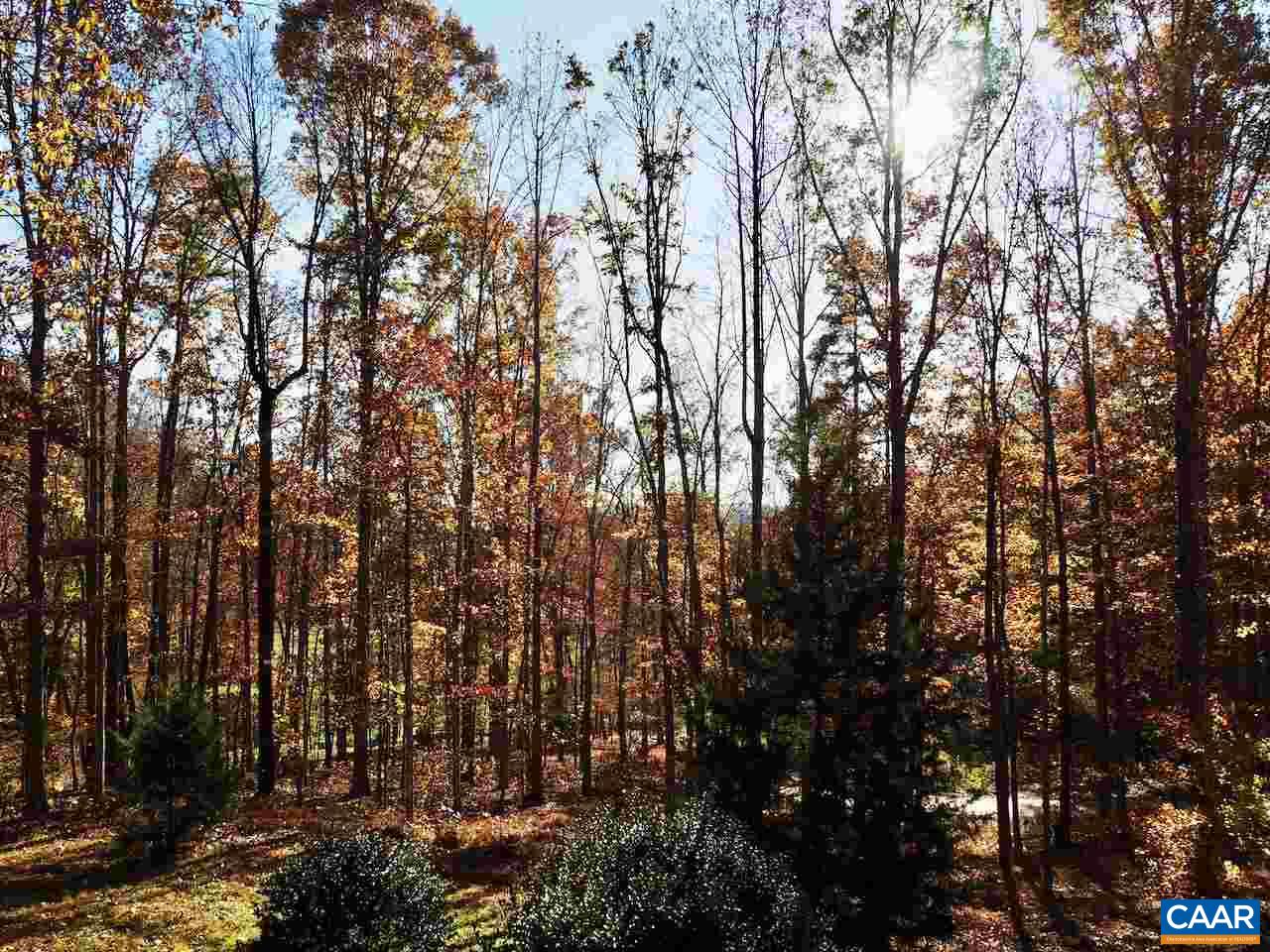4346 Sharon Road Esmont, VA 22937 - Photo 3 of 17 a view of forest
