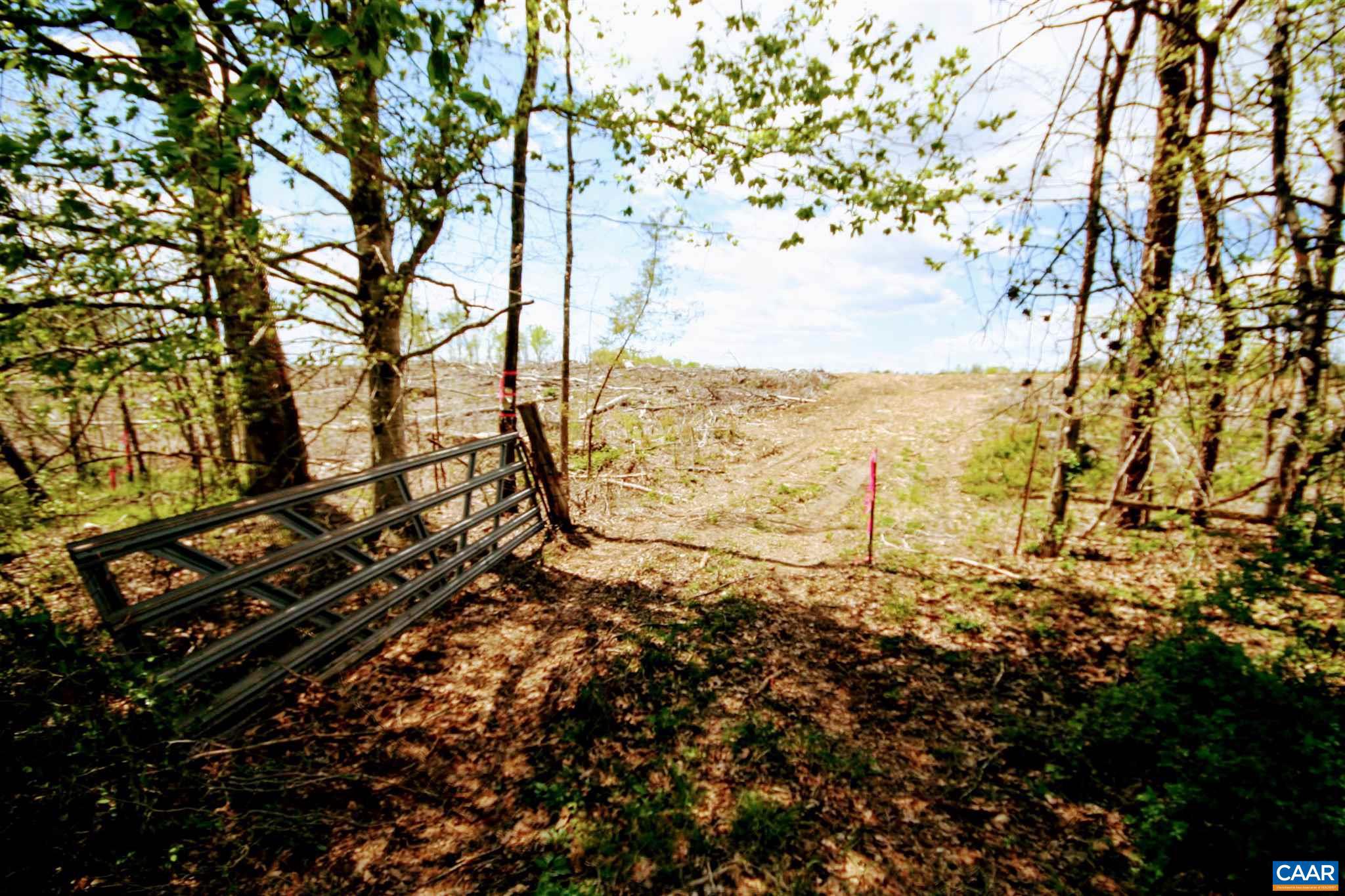 Tba Lot 4 Tba Road, Unit LOT 4 Orange, VA 22960 - Photo 1 of 34