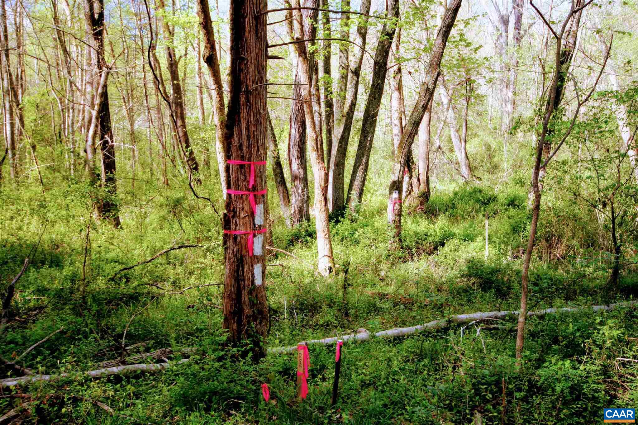 Tba Lot 4 Tba Road, Unit LOT 4 Orange, VA 22960 - Photo 16 of 34