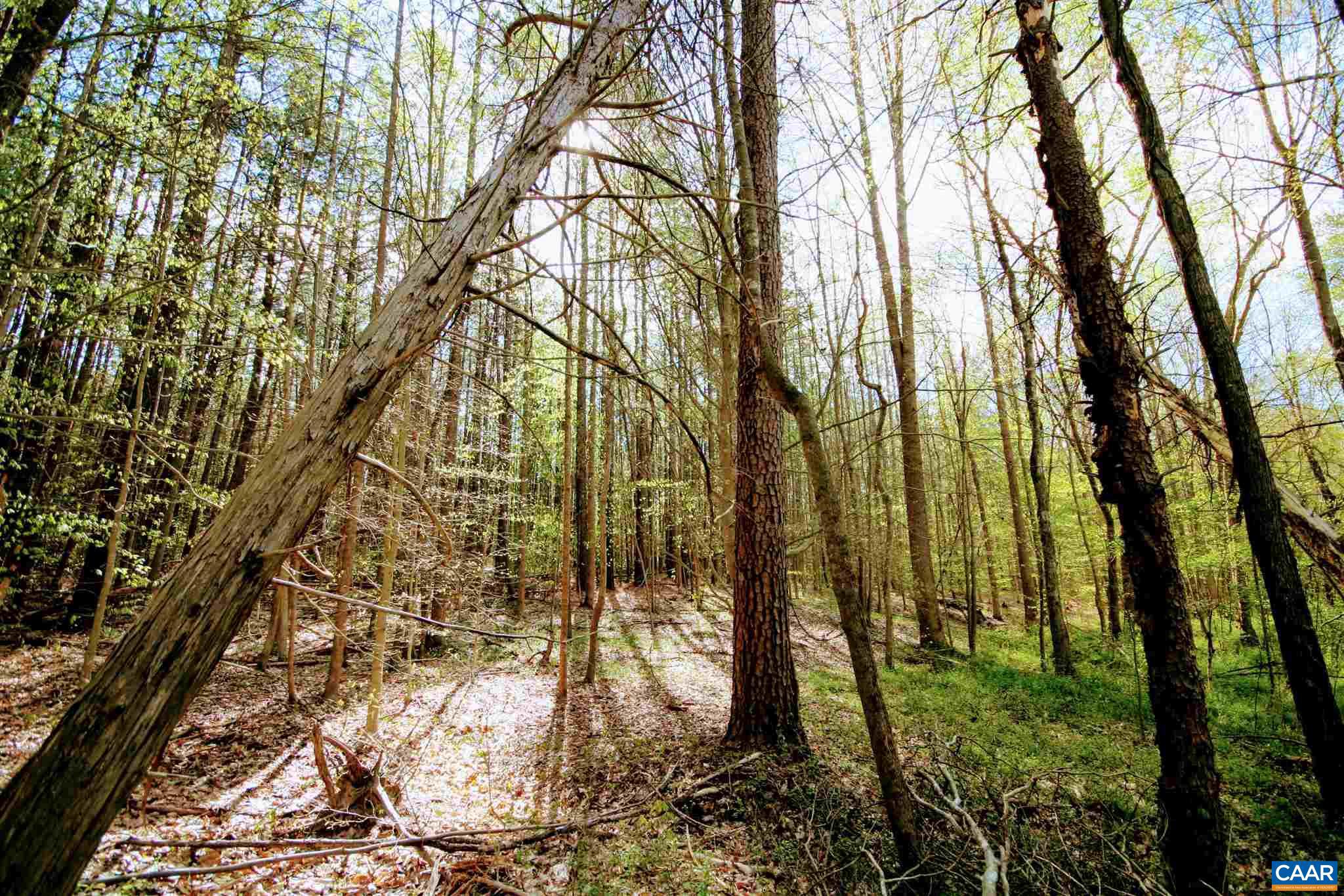 Tba Lot 4 Tba Road, Unit LOT 4 Orange, VA 22960 - Photo 17 of 34