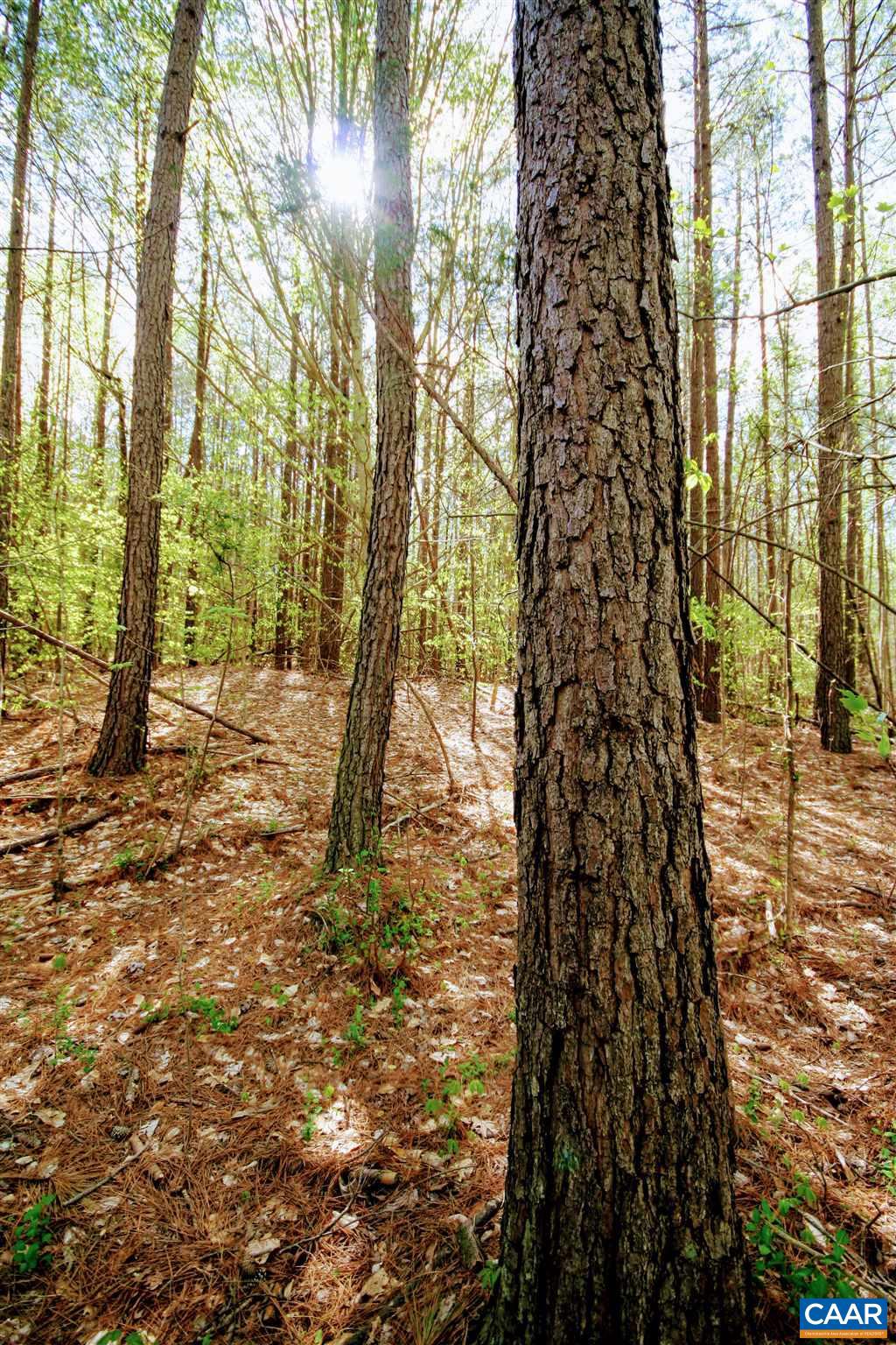 Tba Lot 4 Tba Road, Unit LOT 4 Orange, VA 22960 - Photo 20 of 34