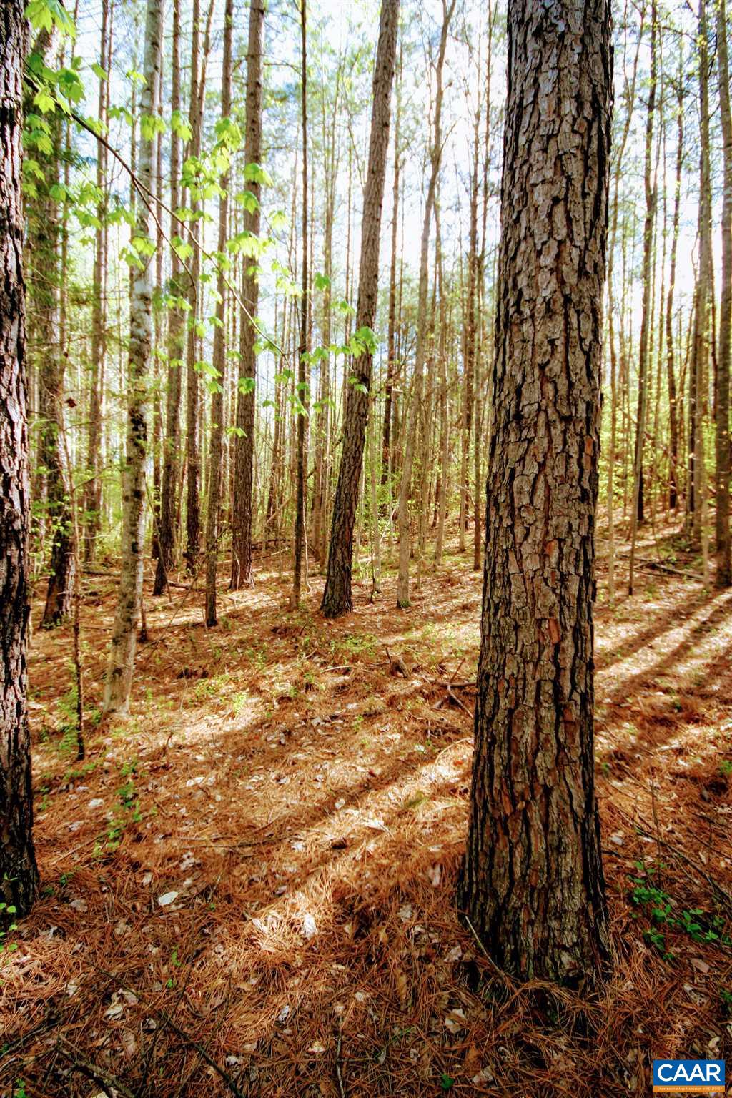 Tba Lot 4 Tba Road, Unit LOT 4 Orange, VA 22960 - Photo 22 of 34