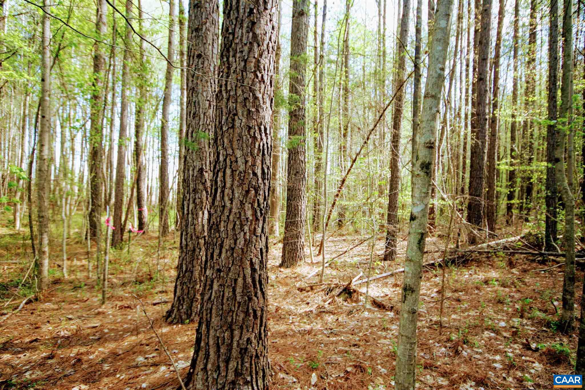 Tba Lot 4 Tba Road, Unit LOT 4 Orange, VA 22960 - Photo 24 of 34