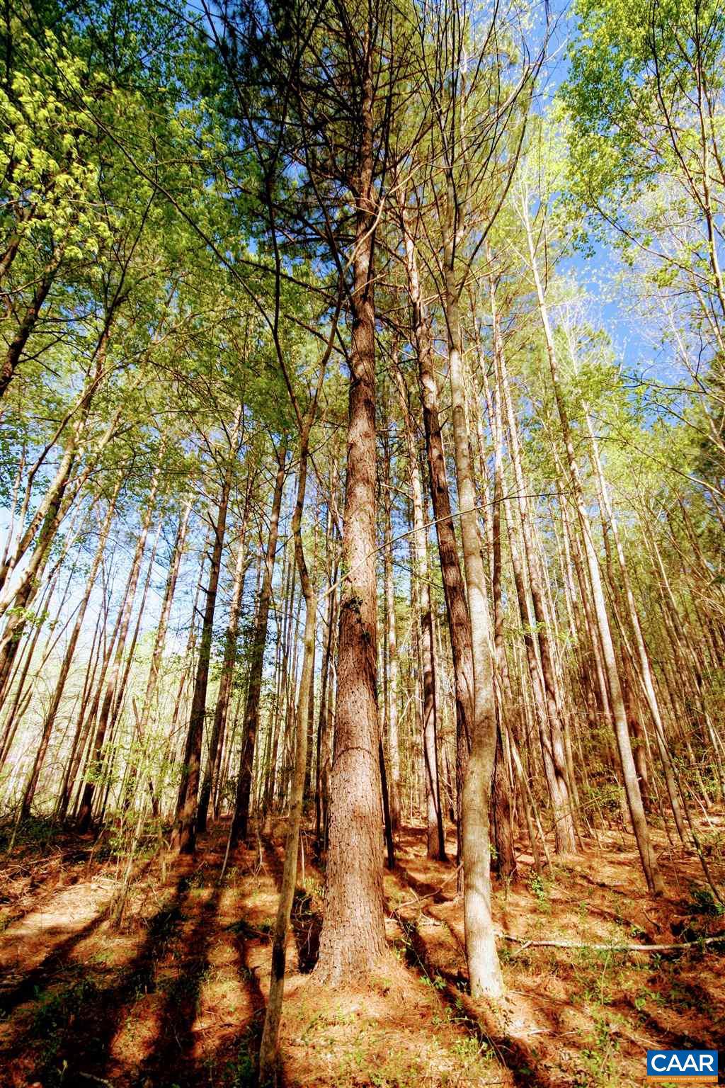 Tba Lot 4 Tba Road, Unit LOT 4 Orange, VA 22960 - Photo 26 of 34