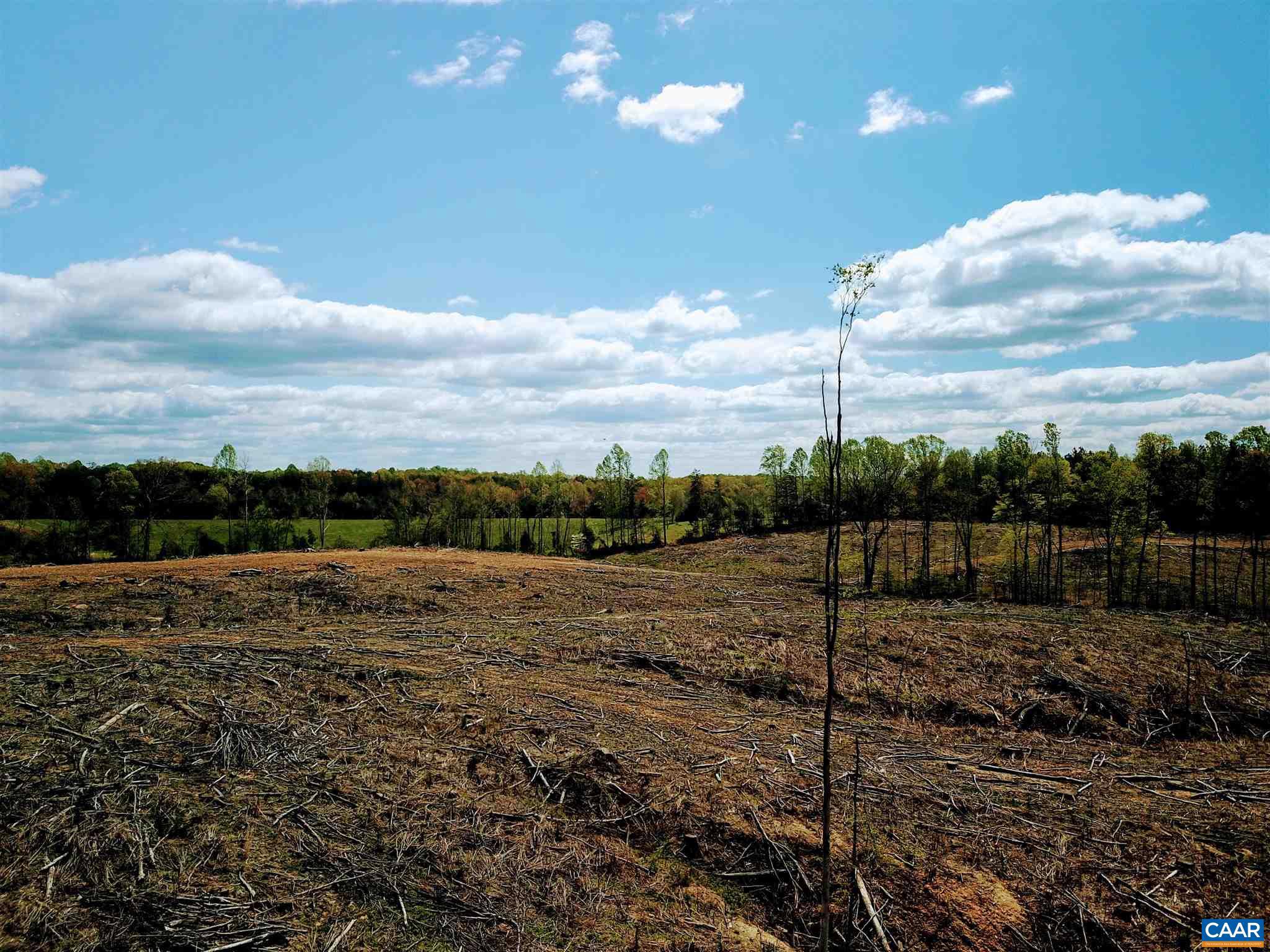 Tba Lot 4 Tba Road, Unit LOT 4 Orange, VA 22960 - Photo 4 of 34
