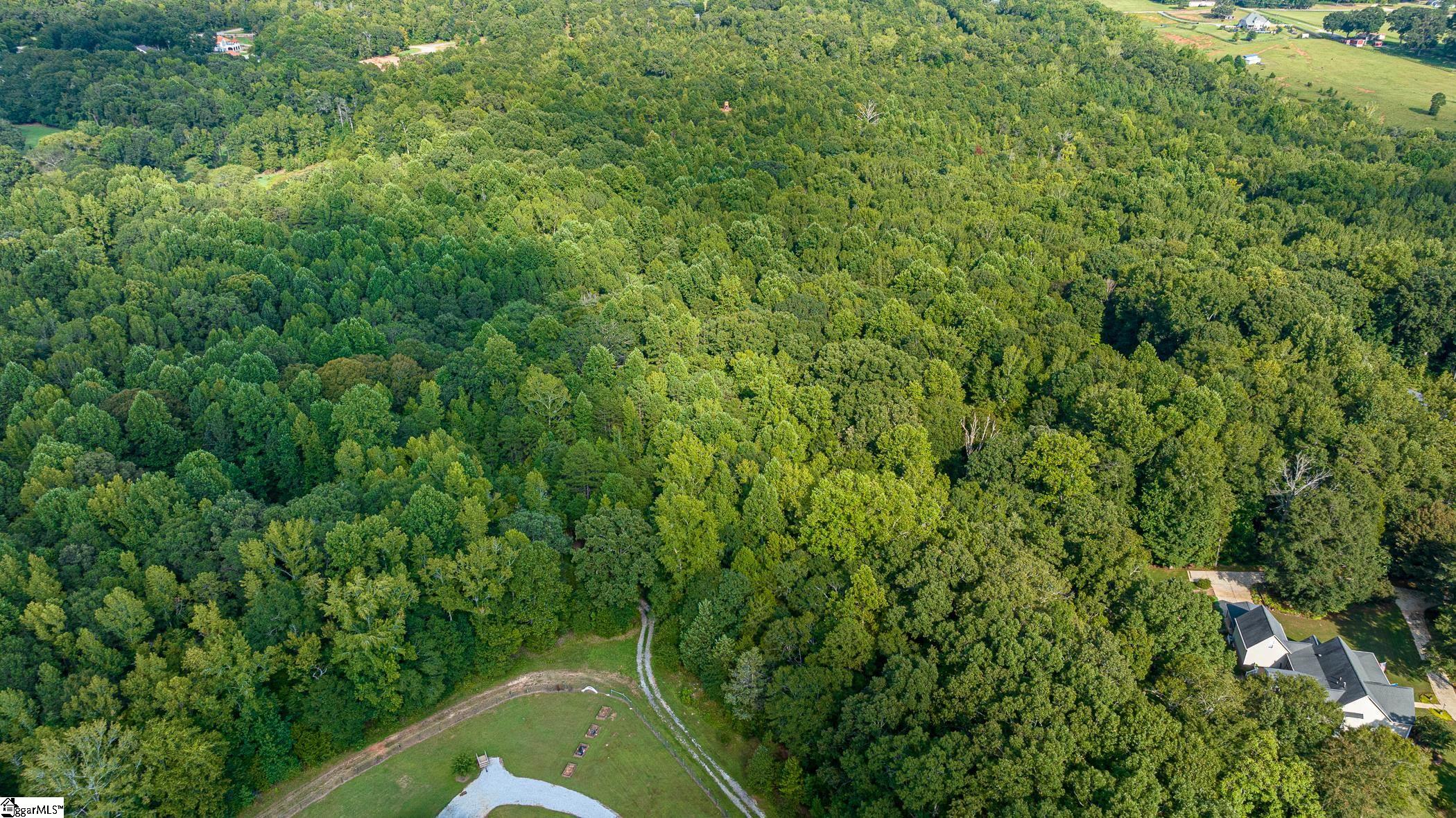 0 Cross Hill Road Fountain Inn, SC 29644 - Photo 4 of 11 Gallery Image 4