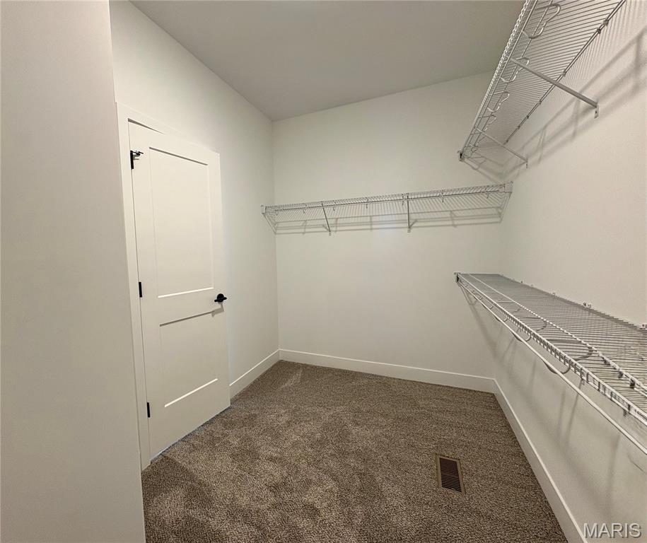 1447 Guilford Place Troy, IL 62294 - Photo 35 of 99