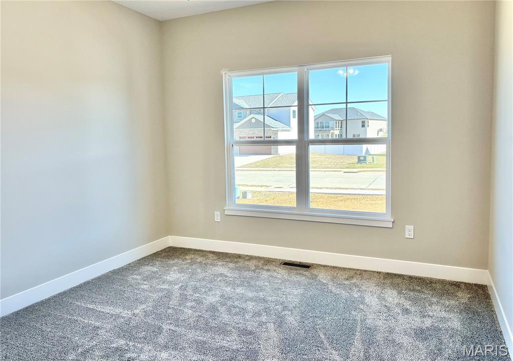 1447 Guilford Place Troy, IL 62294 - Photo 37 of 99