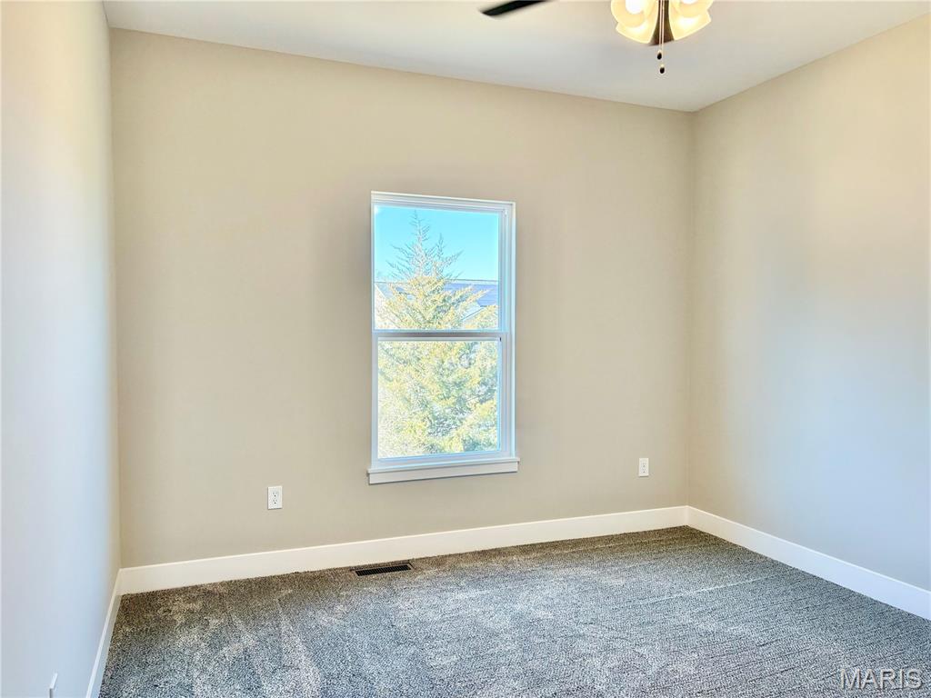 1447 Guilford Place Troy, IL 62294 - Photo 41 of 99