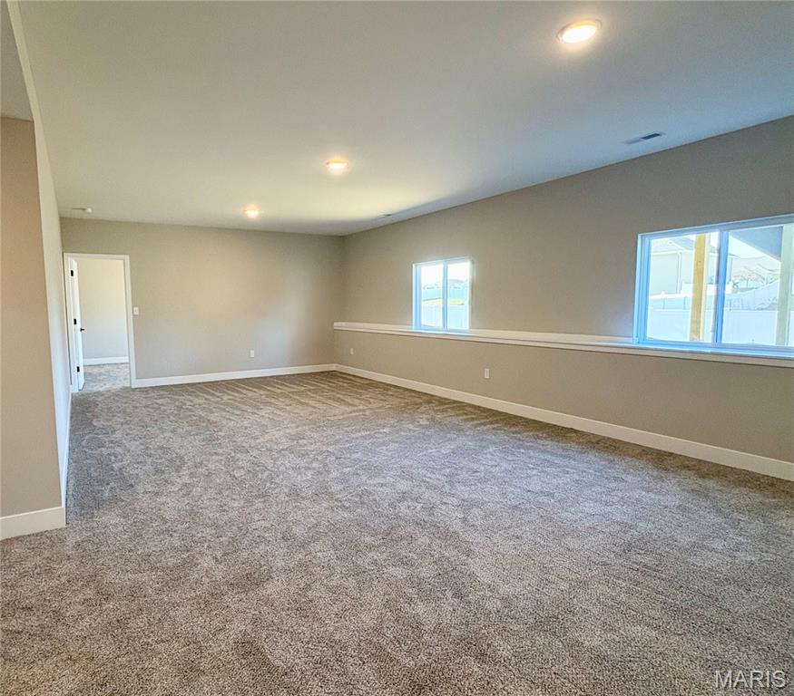 1447 Guilford Place Troy, IL 62294 - Photo 48 of 99