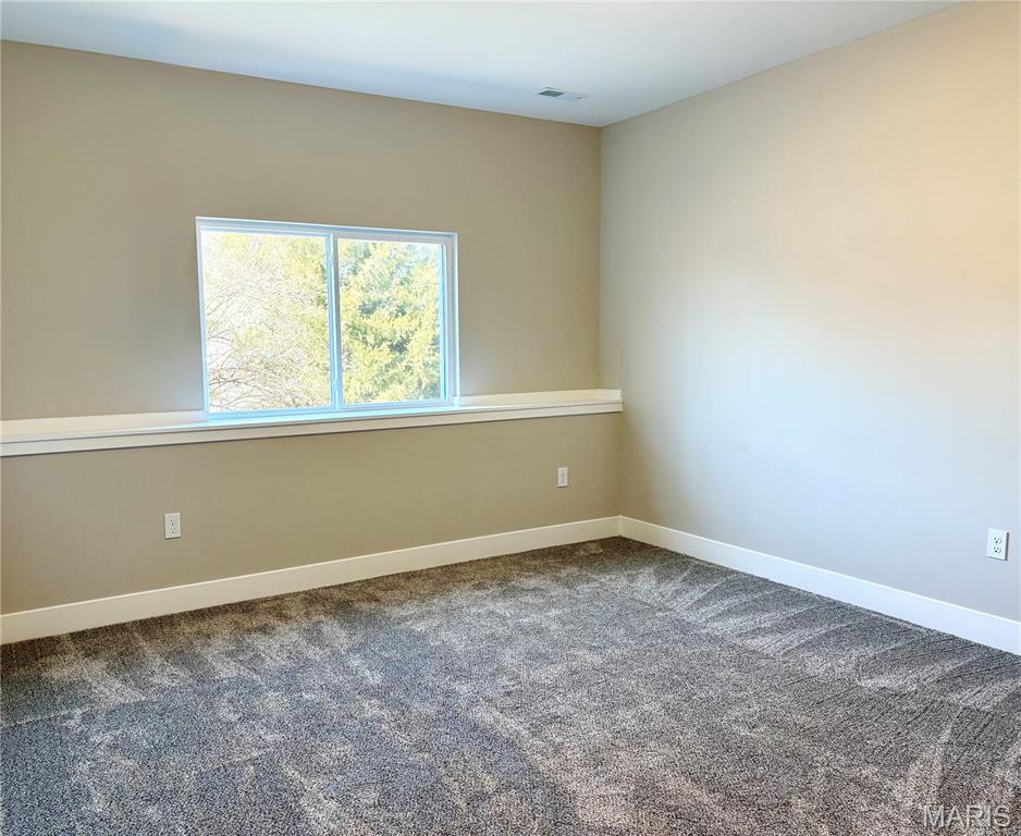 1447 Guilford Place Troy, IL 62294 - Photo 53 of 99