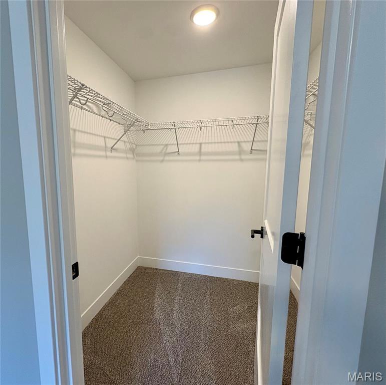 1447 Guilford Place Troy, IL 62294 - Photo 56 of 99