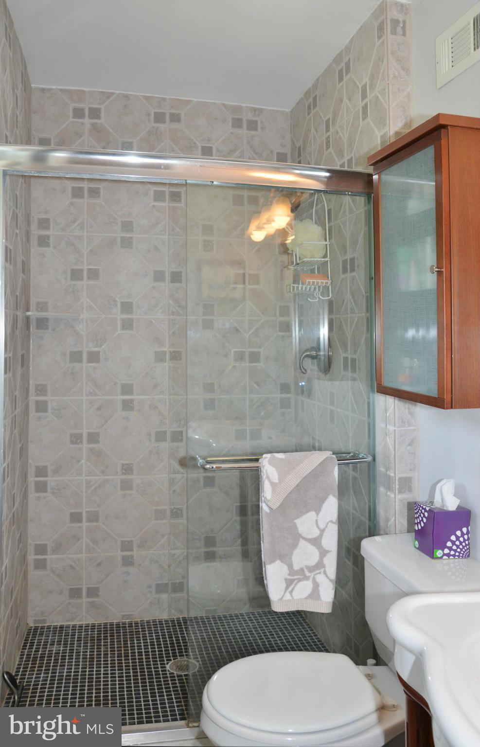 6607 Hillandale Road, Unit 89 Chevy Chase, MD 20815 - Photo 19 of 30 a bathroom with a sink and a shower