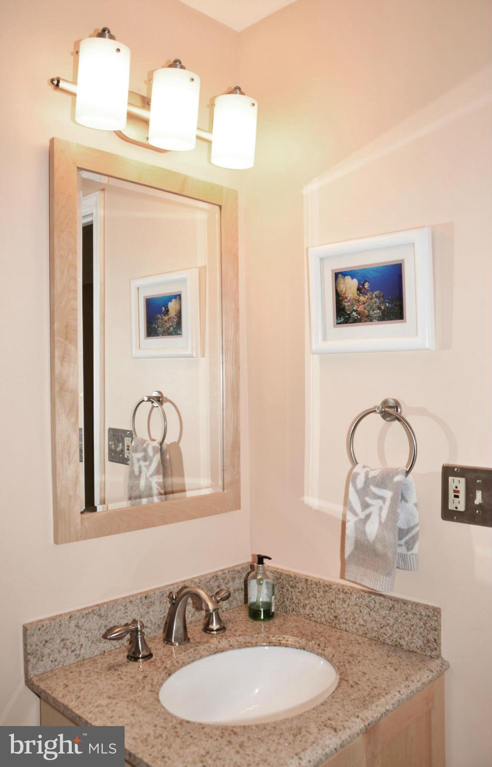 6607 Hillandale Road, Unit 89 Chevy Chase, MD 20815 - Photo 25 of 30 a bathroom with a granite countertop sink and a mirror