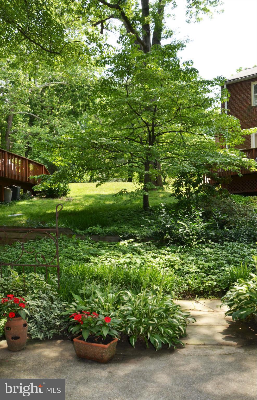 6607 Hillandale Road, Unit 89 Chevy Chase, MD 20815 - Photo 29 of 30 a view of a garden with a wooden fence