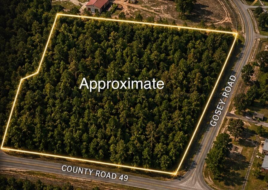 49 County Road Beaverton, AL 35544 - Photo 2 of 9 Gallery Image 2