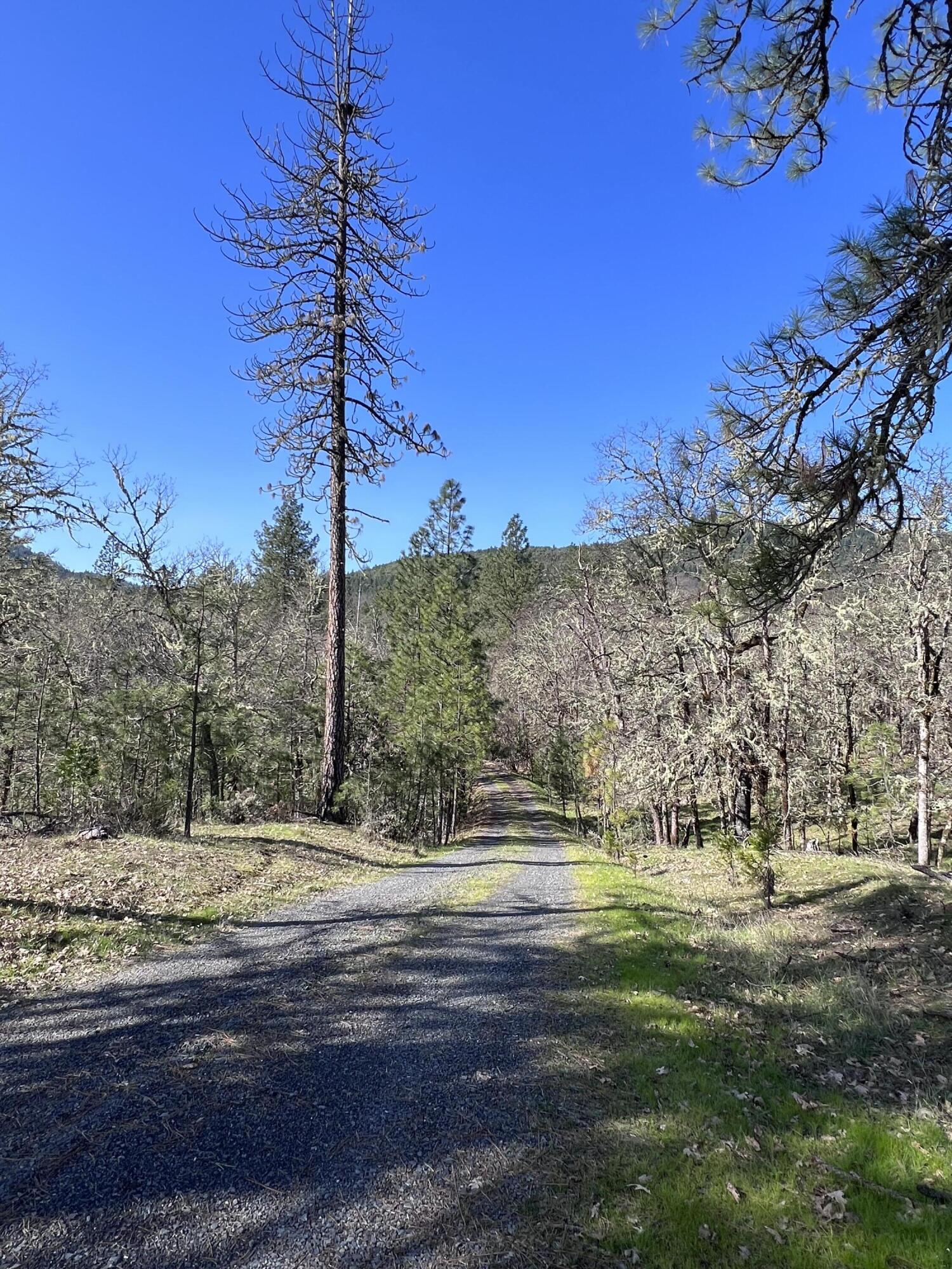 5525 Tunnel Loop Road Grants Pass, OR 97526 - Photo 64 of 65 60-driveway