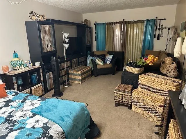 a living room with furniture rug and lamp
