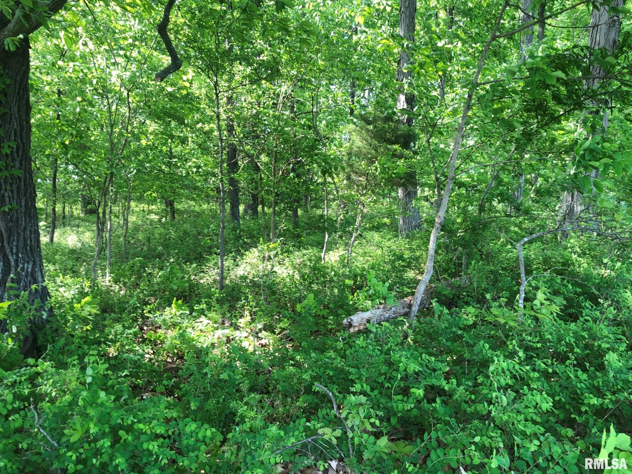 0 Fish Farm Road Golconda, IL 62938 - Photo 1 of 10 Gallery Image 1