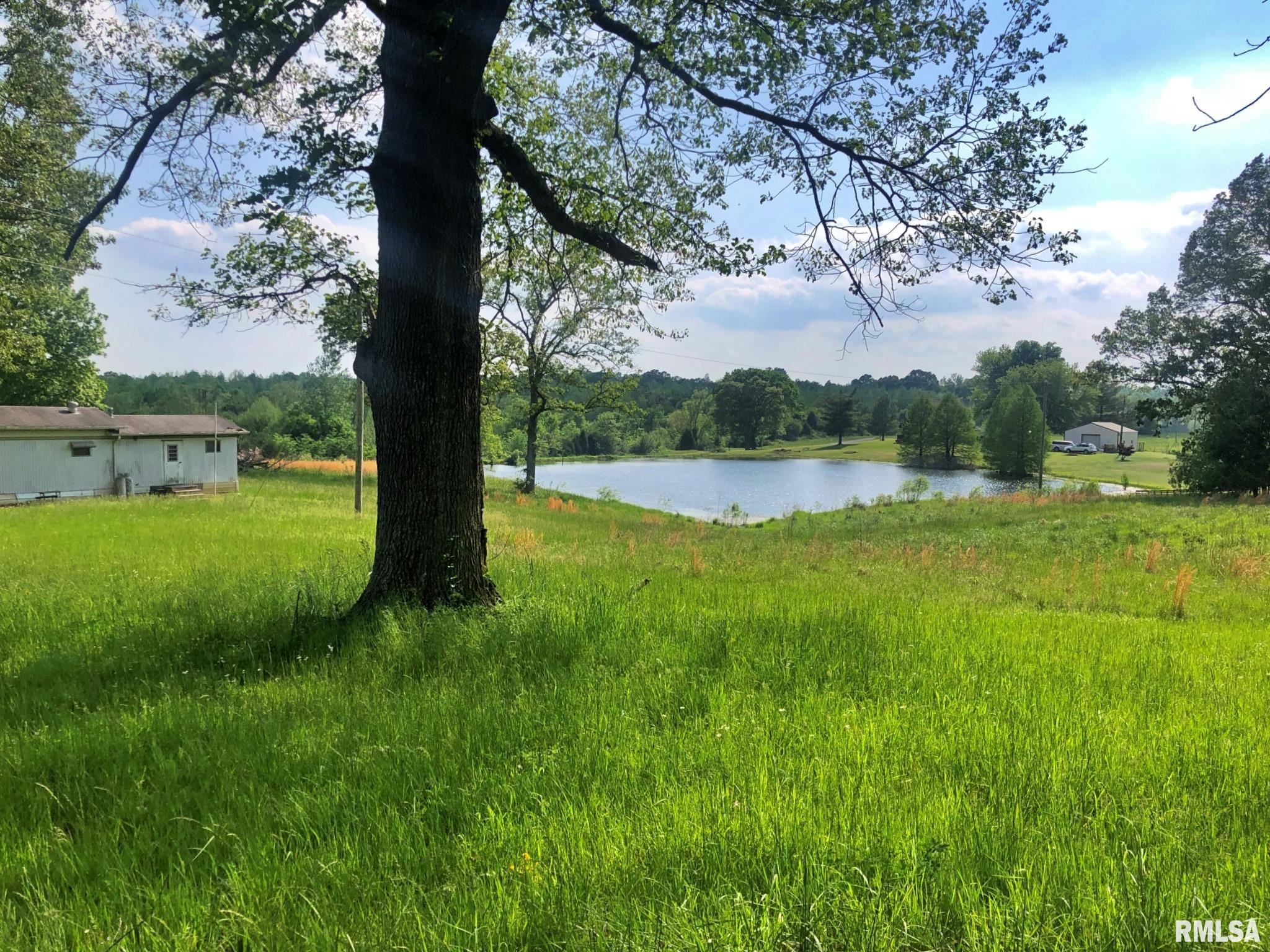 0 Fish Farm Road Golconda, IL 62938 - Photo 3 of 10 Gallery Image 3