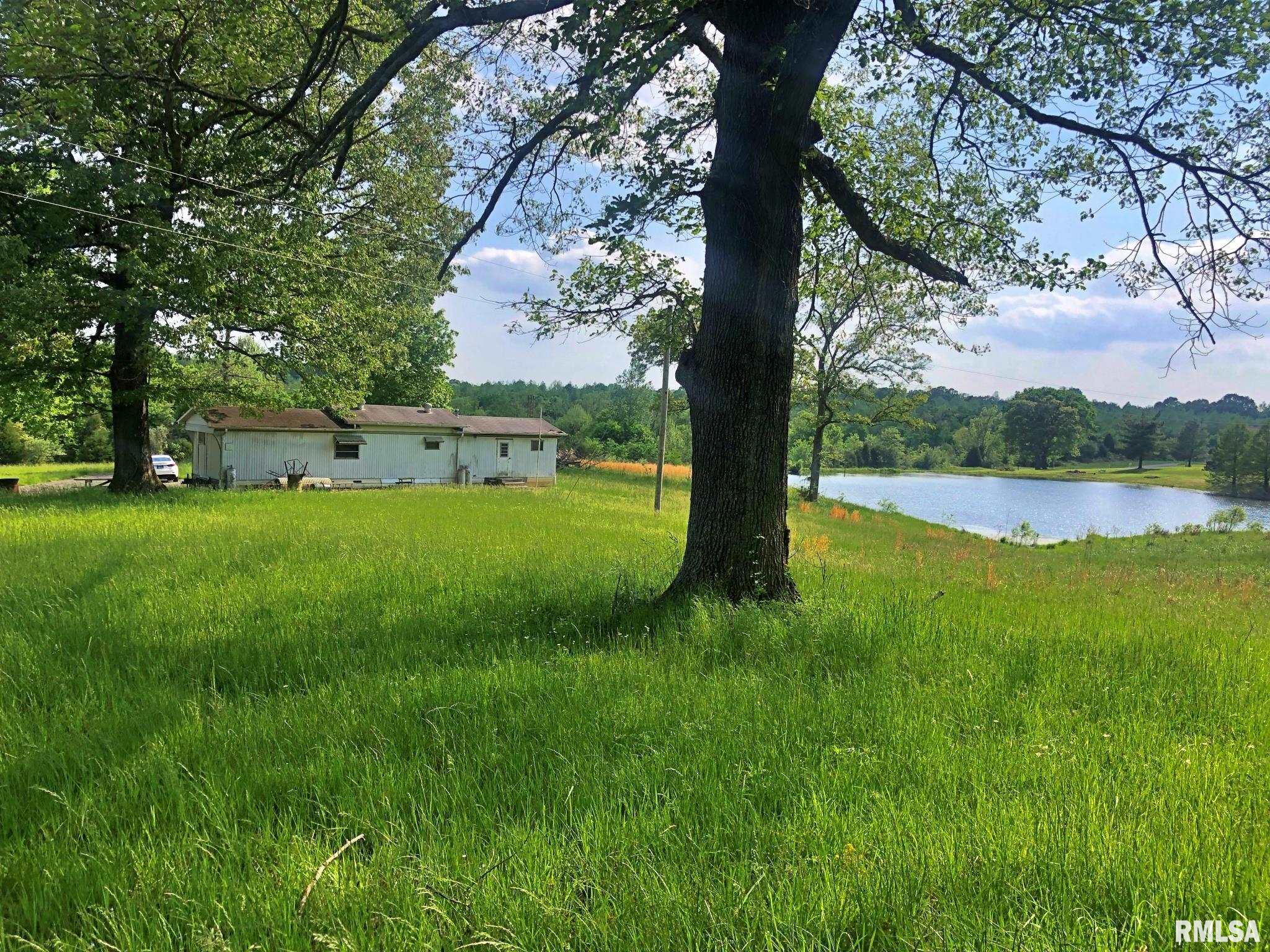 0 Fish Farm Road Golconda, IL 62938 - Photo 4 of 10 Gallery Image 4