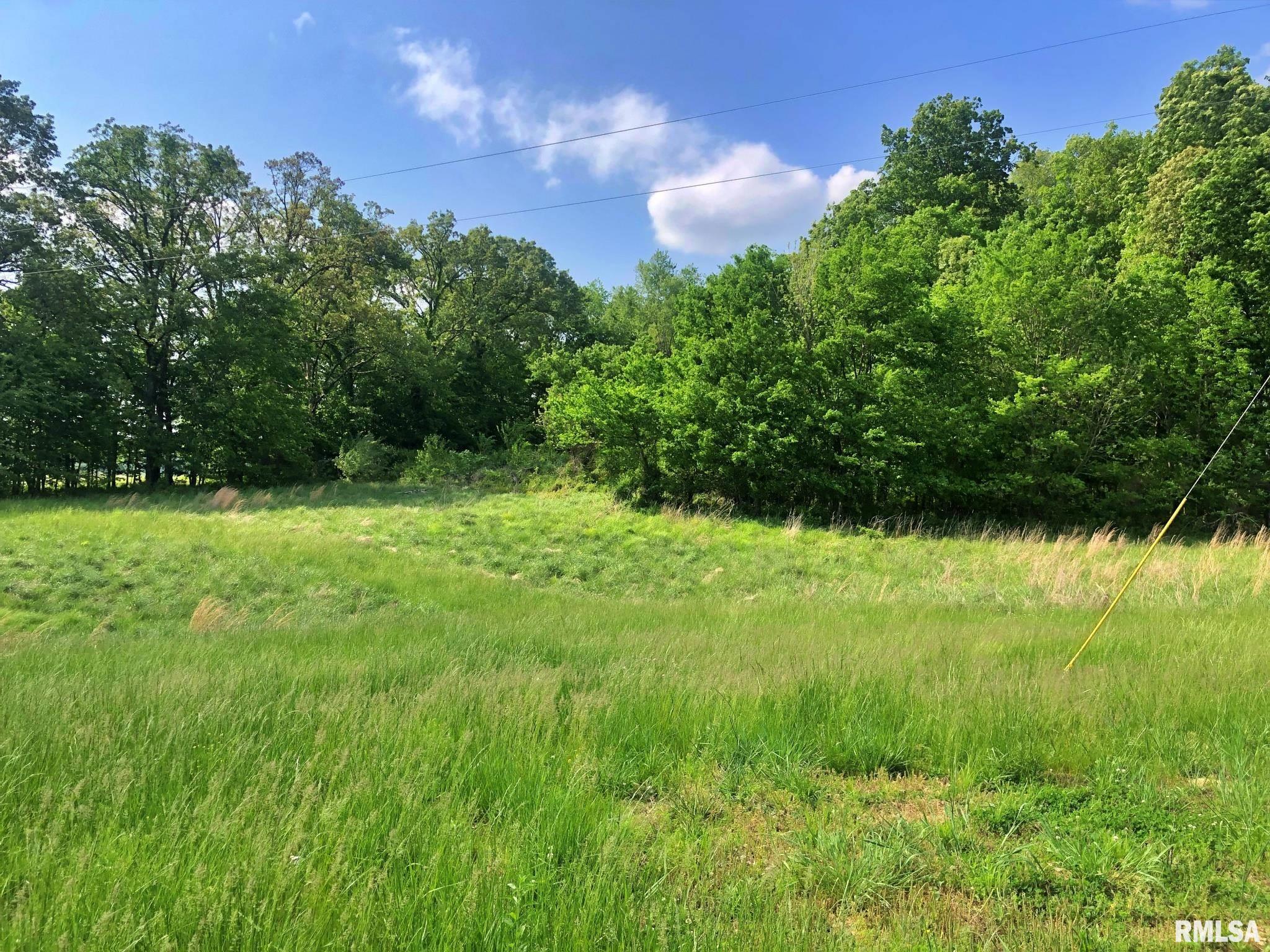 0 Fish Farm Road Golconda, IL 62938 - Photo 8 of 10 Gallery Image 8